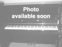 Samick 115 - photo coming soon